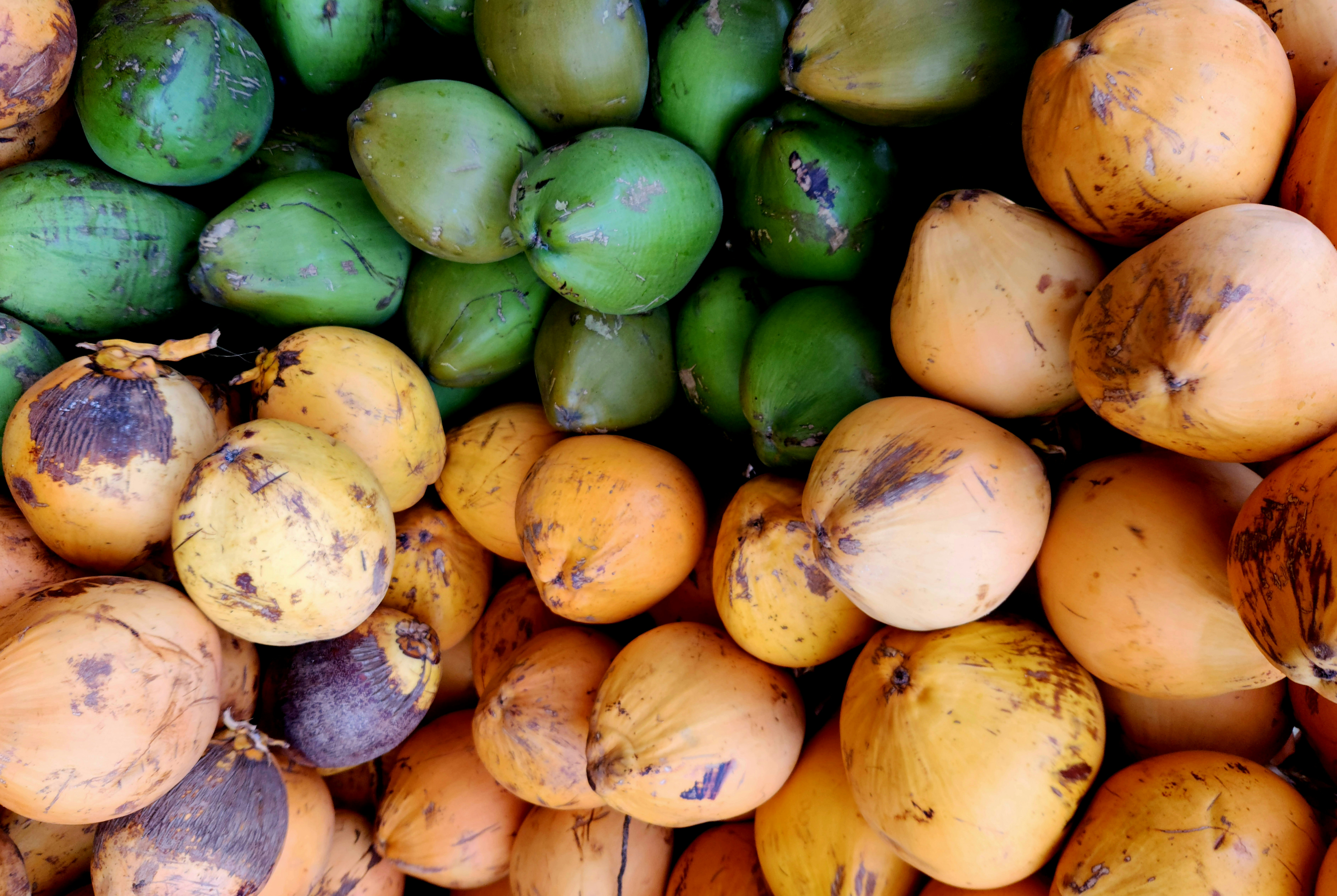 Fresh tender coconut