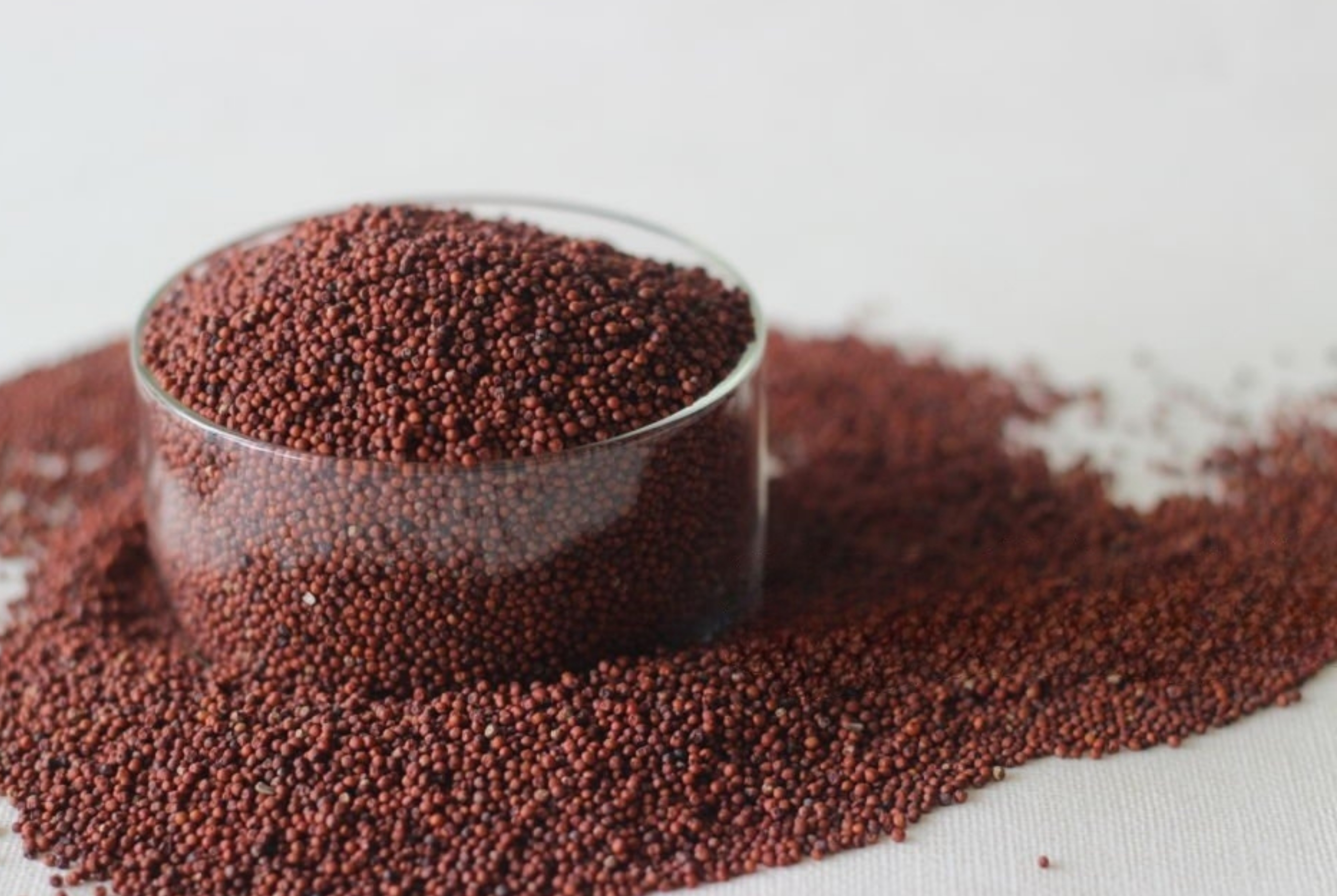 Finger millet ragi