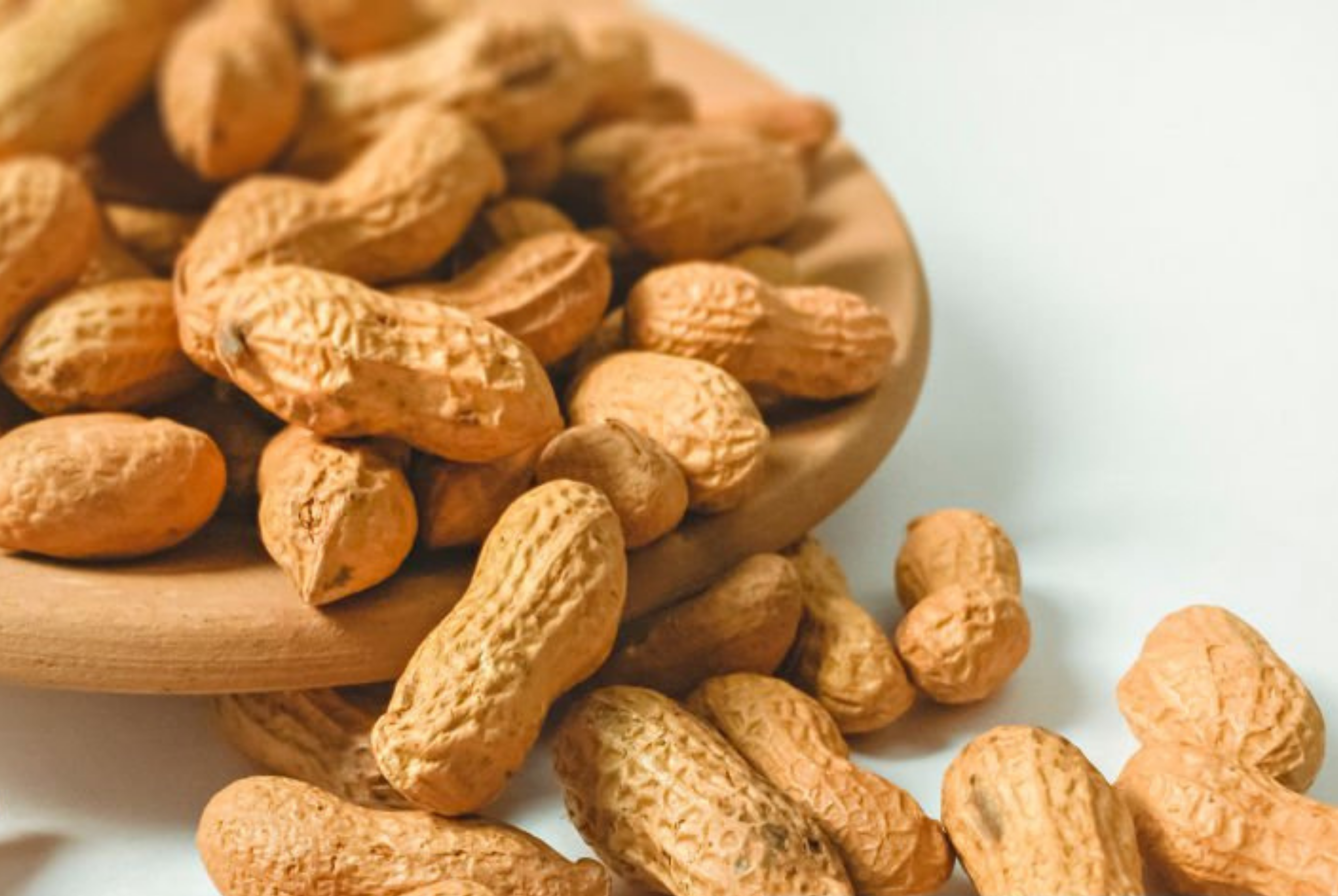 Raw groundnut peanuts