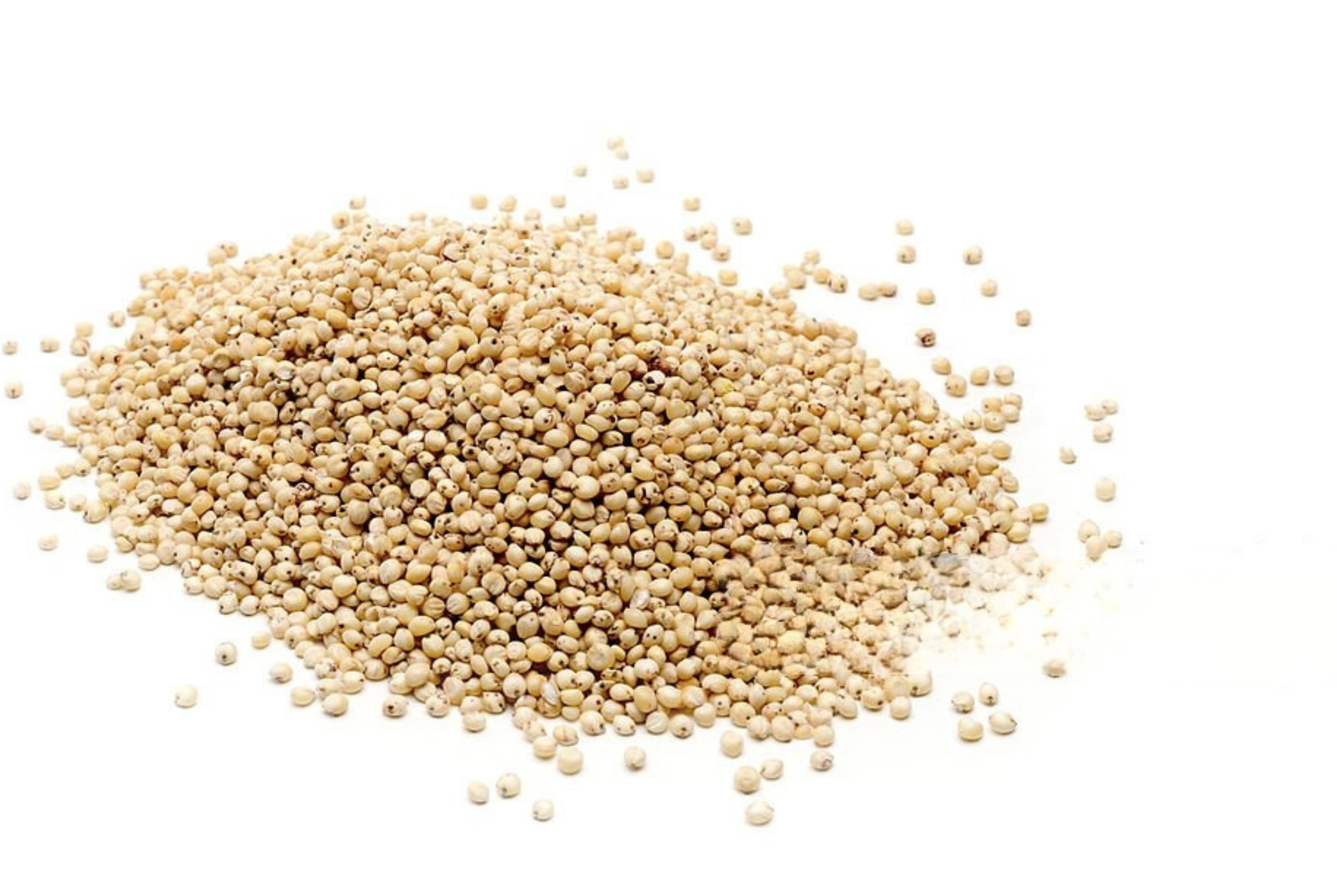 Sorghum Millet